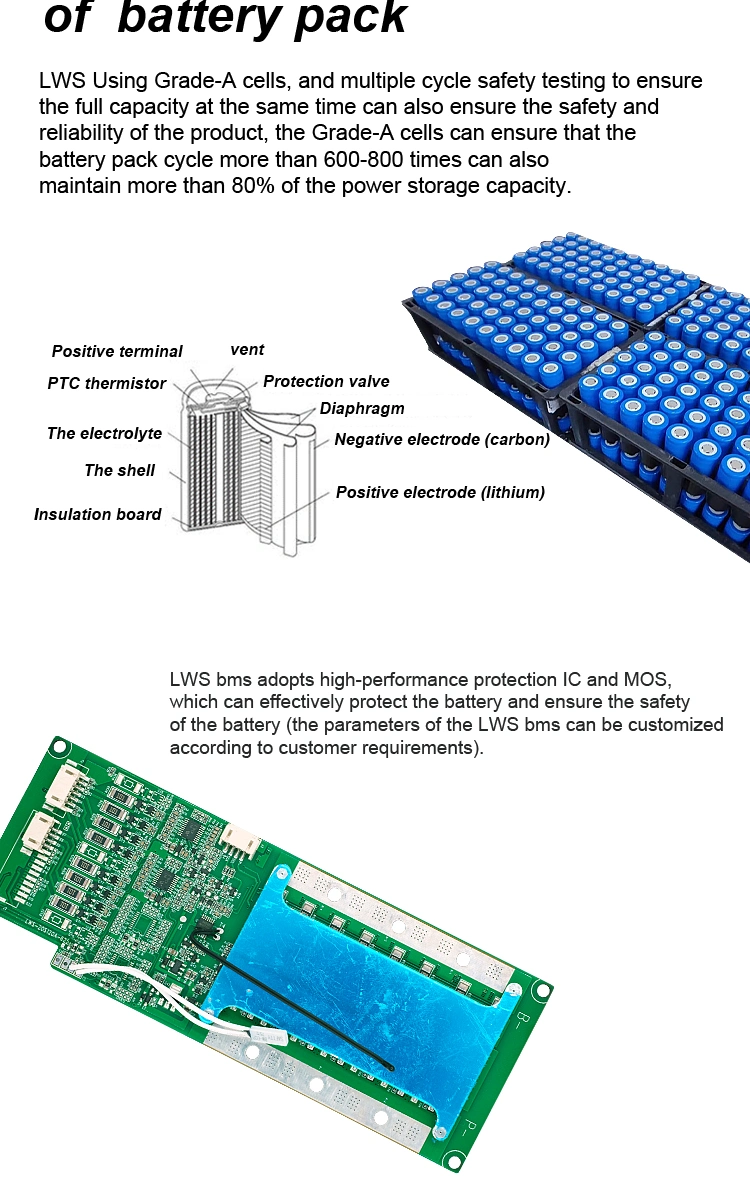 Lws Lithium Iron E-Bike Battery 24V 8s1p 2000mAh Battery Pack