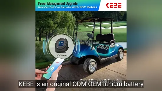 Bateria de lítio de ciclo profundo/bateria de íons de lítio/bateria LiFePO4 para empilhadeira elétrica/caminhão 48V 500ah