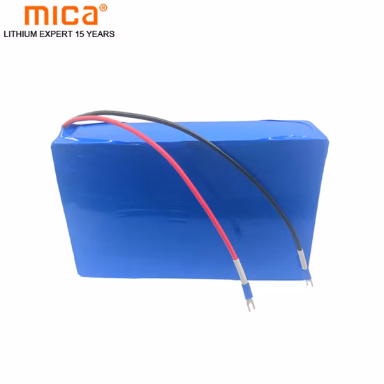 Bateria LiFePO4 36V 20ah usada para ferramentas elétricas bicicletas elétricas carros