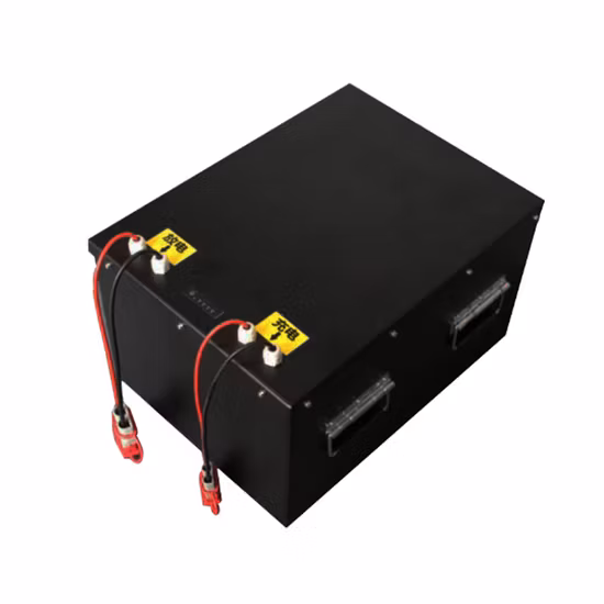 Motocicleta/Scooter Citycoco Bicicleta elétrica E-Bike 48V/60V/72V/96V 10ah 12ah 20ah 40ah 50ah 60ah 70ah 80ah 100ah LiFePO4 Lithium Ion Lipo Li Ion Battery